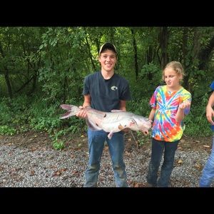 Meet your Posher, Ansley